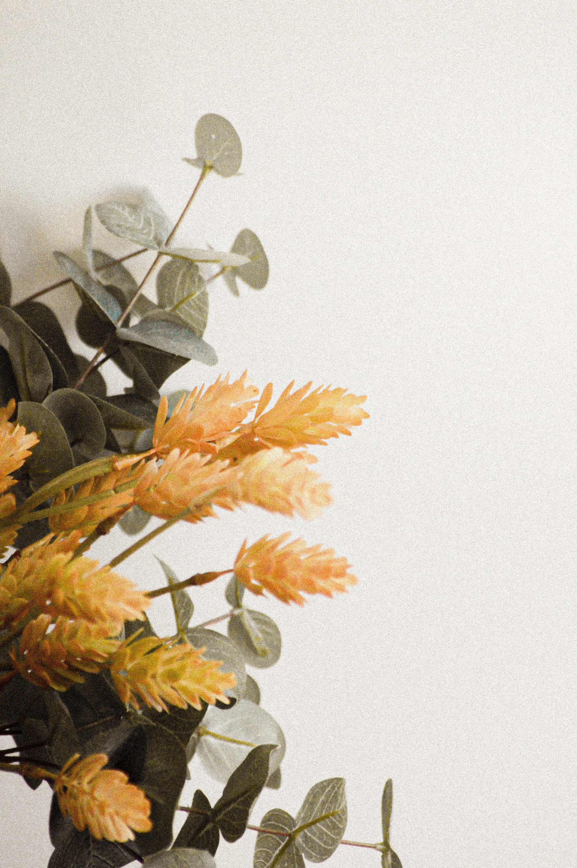 Типи планів відеозйомки